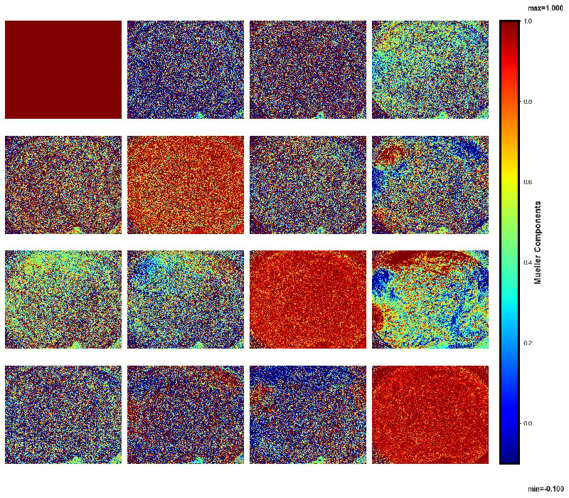 Harnessing AI for Tissue Analysis: Unleashing the Power of U-Net in Mueller Microscopy