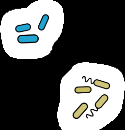 Revolutionizing Microbial Insights: How SCiFI Transforms Complex Microbiomes into Simplified Functional Groups