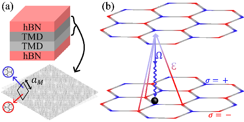 Unleashing Superconductivity: How Driven-Dissipative Protocols Transform Moiré Heterostructures