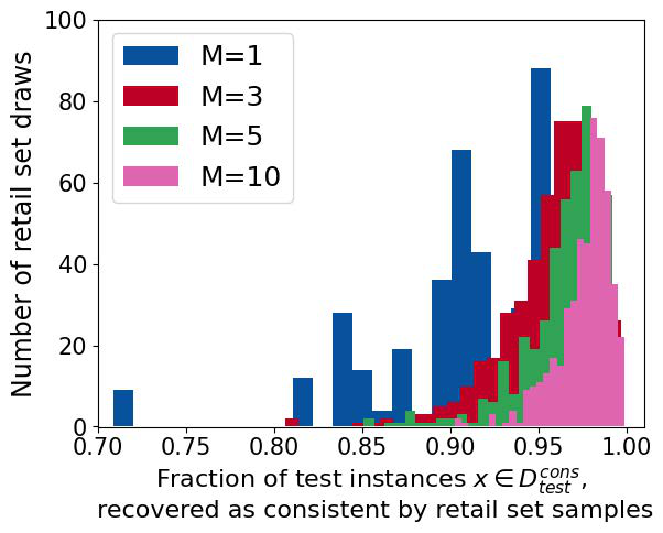 Unveiling Predictive Multiplicity: A New Paradigm for Auditing Decision Systems with Ensemble Models