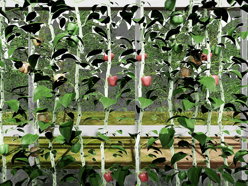 Unveiling the Future of Horticulture: How SG-AMP Enhances Robotic Perception and Motion Planning for Pepper Plants