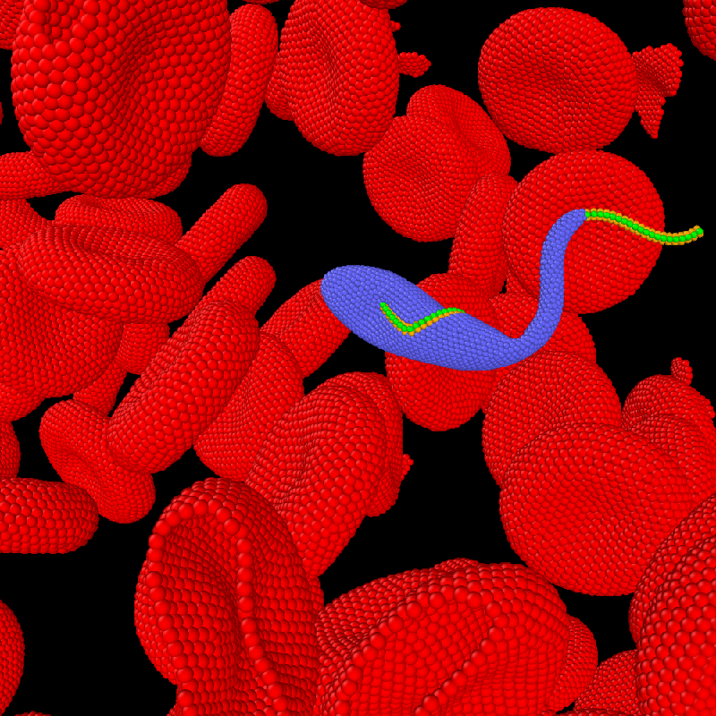 Unlocking the Secrets of Trypanosome Swimming: How Blood Cell Interactions Boost Parasite Mobility