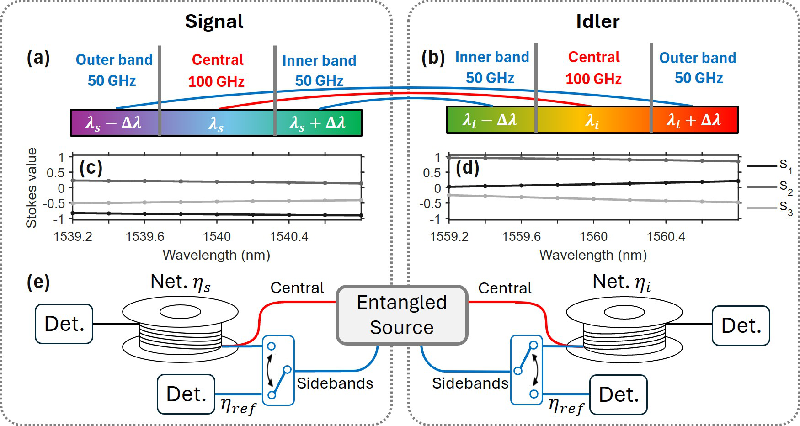 Exponential Speedup in Polarization Stabilization: A Leap Forward for Long-Distance Quantum Networks