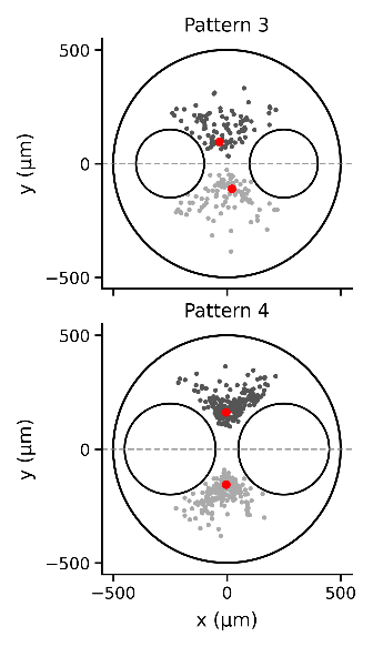 Unlocking the Secrets Behind Cell Defects: How Geometry and Obstacles Shape Cellular Behavior