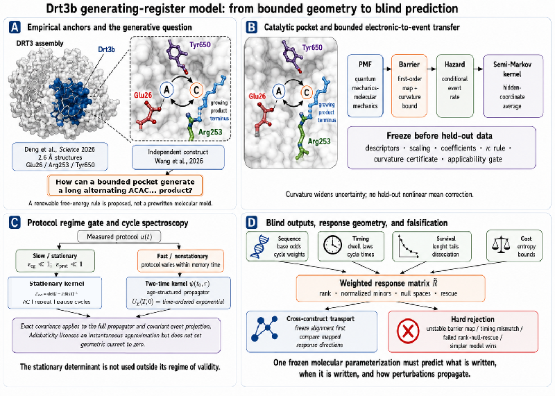Revolutionizing DNA Synthesis: How Drt3b's Unique Mechanism Defies Traditional Templates