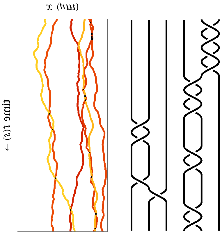 Breaking the Mold: How Topological Mixing Advances Our Understanding of Active Bacterial Matter