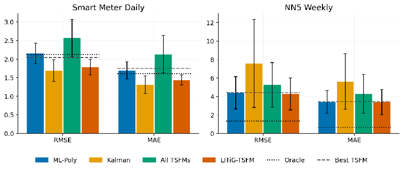 Unlocking the Future of Time Series Forecasting: The Power of Latent Inference-Time Guidance