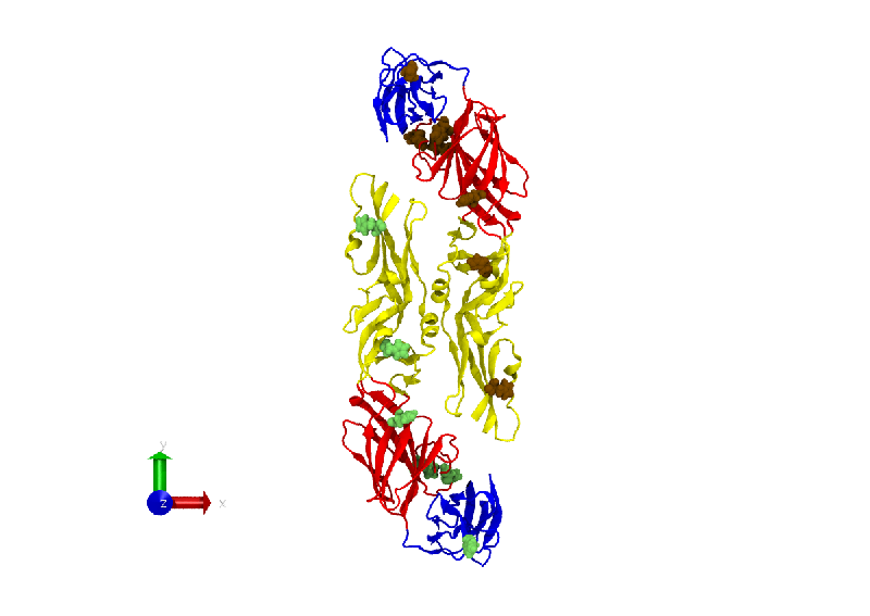 Cracking the Code of Dengue Virus: How Temperature and pH Influence Viral Mechanics!